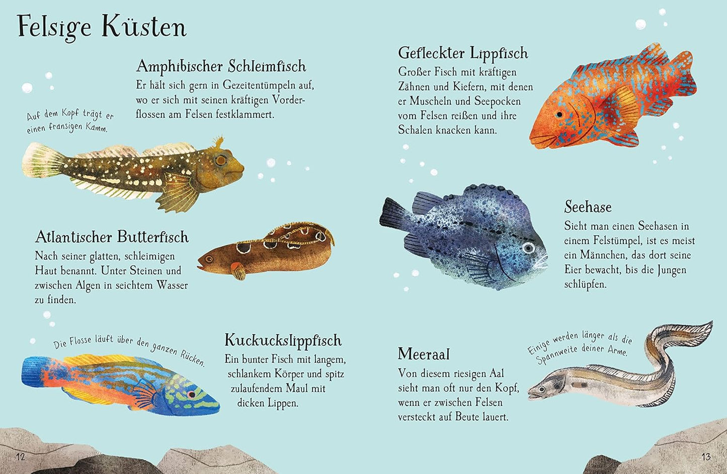 "Naturführer Fische". Libro con adhesivos. Alemán