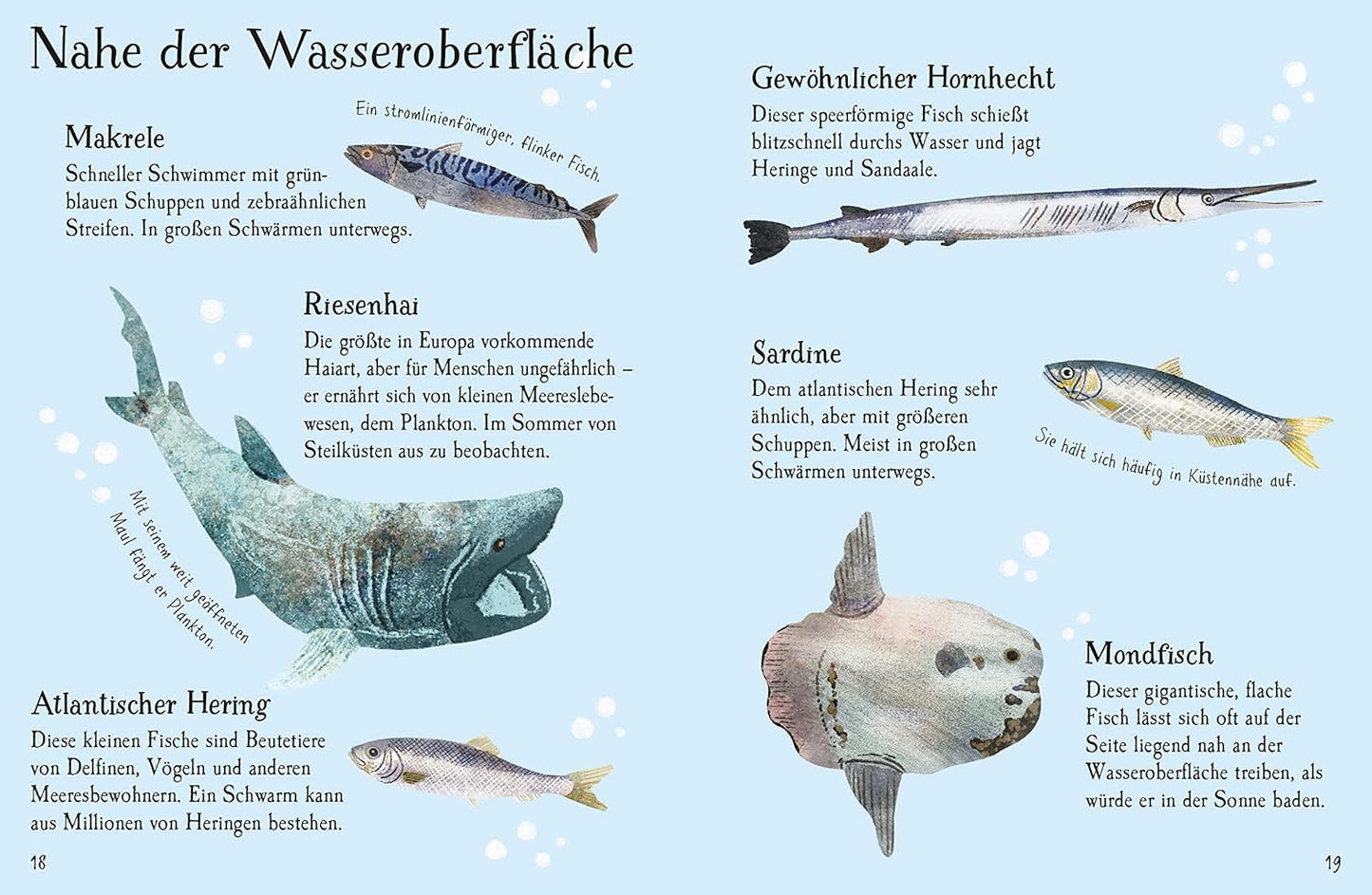 "Naturführer Fische". Libro con adhesivos. Alemán