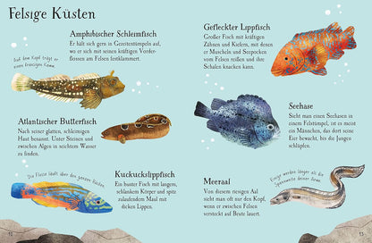 "Naturführer Fische". Libro con adhesivos. Alemán