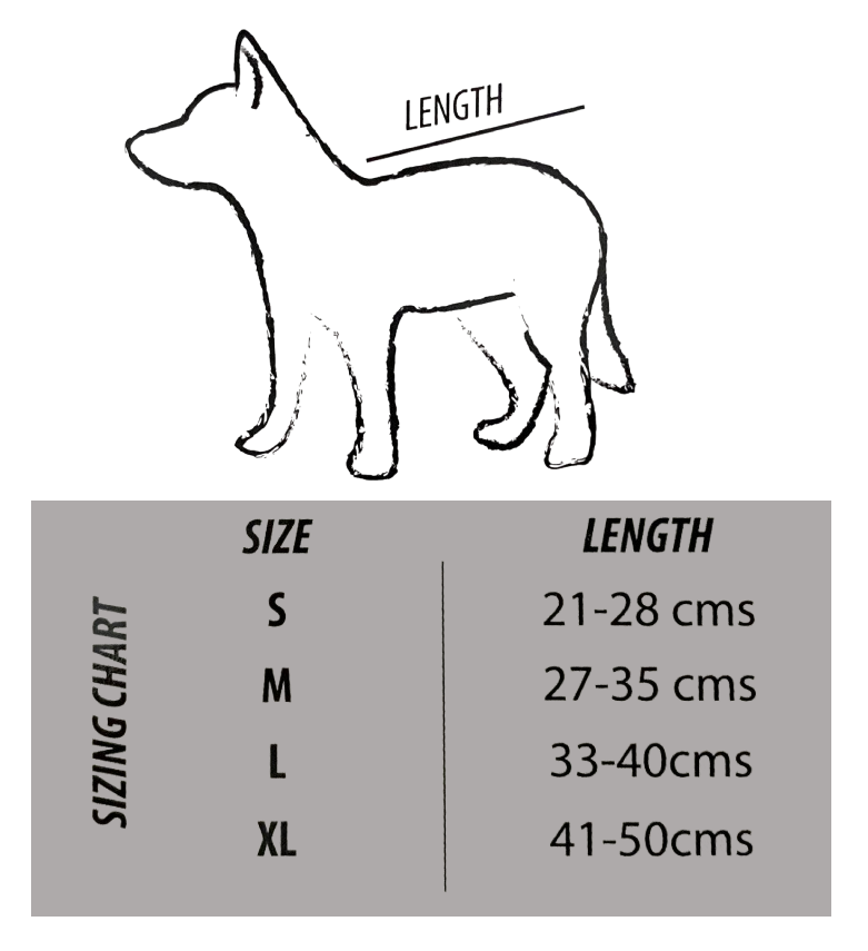 Capas con filtro solar UPF 50+ para perros marca Zunblock
