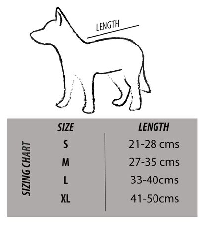 Capas con filtro solar UPF 50+ para perros marca Zunblock